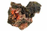 Bright Orange Crocoite Crystal Cluster - Tasmania #117619-1
